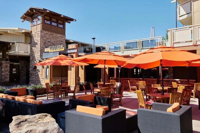 Renzo and Crystal Azzarello's passion for sustainability, implementing eco-friendly practices at Tiburon Tavern to reduce waste and conserve resources.