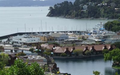 Everything You Wanted to Know About Tiburon, California